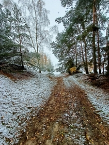 Syndyk sprzeda nieruchomość w Korzeniewie k/ Kalisza