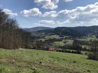 Działka rolna Pewel Wielka, Buławka,