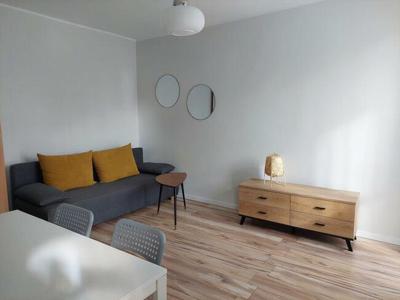 Mieszkanie 25 m2 do wynajęcia – Gdynia-Witomino
