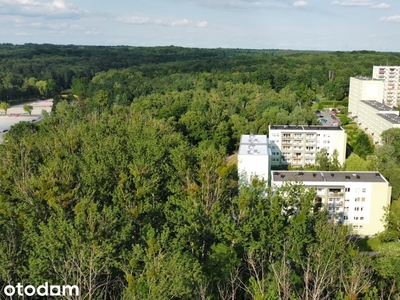 Urokliwe Mieszkanie z Ogrodem Zimowym, nr 45