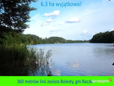 6.3 ha działka z linią brzegową jeziora Bolesty, gm. Raczki