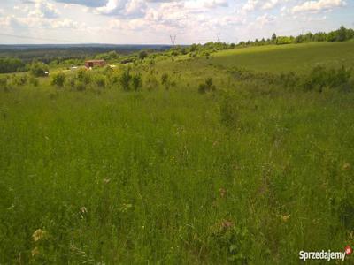 Działka budowlana 5200 m.kw. na Jurze, Choroń