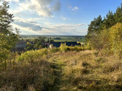 Działka budowlana, ul. Orłowskiego