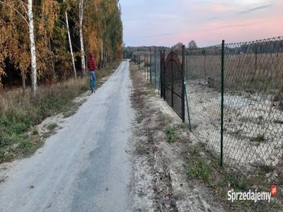 Działka niedaleko jeziora Rotcze. Grabniak.