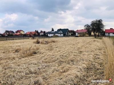 UROKLIWA DZIAŁKA | CHORZELÓW | 27 AR