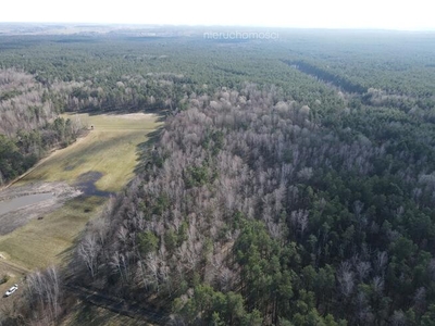 Działki leśne 7,773 ha - Gmina Piszczac