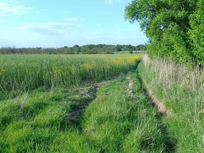 Ostatnia działka budowlana na ulicy Wyzwolenia