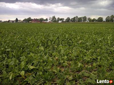 Pracujące GOSPODARSTWO ROLNE. Sprzedaż od 100 ha