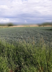 Działka rolno-budowlana Mrowiny gm. Żarów, Mrowiny