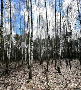 Rudno III, Gm. Milanów – Las na sprzedaż