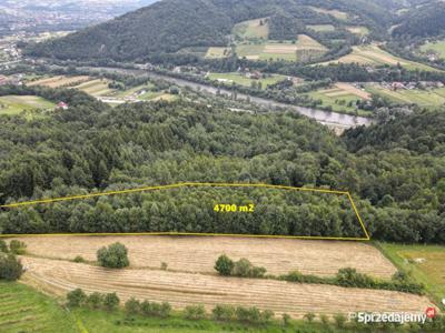 Grunt Zabrzeż 4700m2