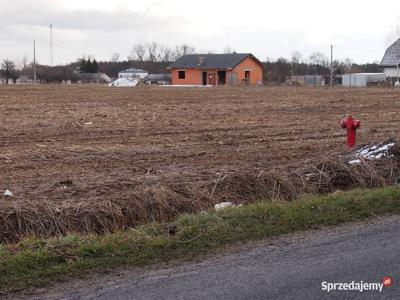 Sprzedam dz. bud.1200 m2 Pustelnik gm. Stanisławów