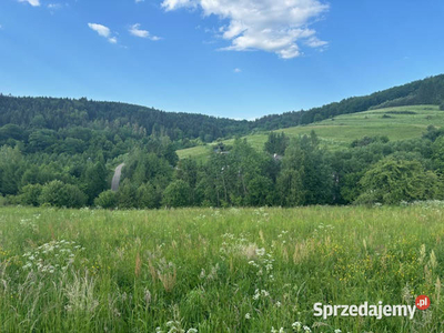 Bieszczady - Baligród 16 ar na sprzedaż działka budowlana