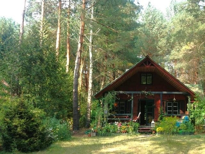 Domek na leśniej polanie - pół godziny od Warszawy