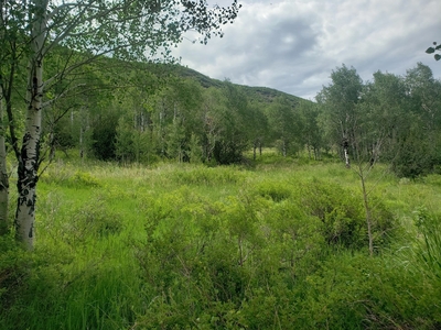 Działka inna Oak Creek