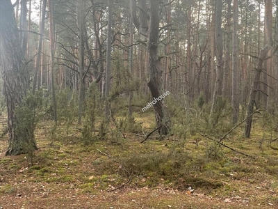 Działka rolna Popowo-Letnisko