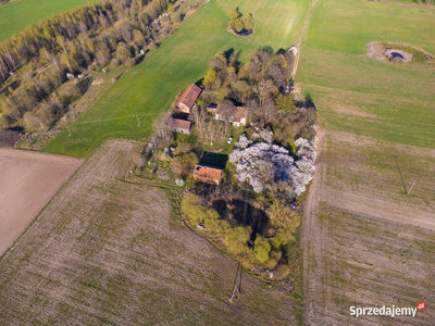 Siedlisko w Konradowie