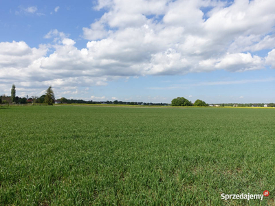 Skoczów Pruchna 1,15ha pod stadnine zabudowe lux lokalizacja