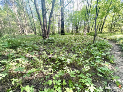 Zaciszna działka budowlana Wilanów Kępa Zawadowska