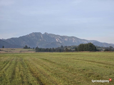 Zakopane Bachledzki Wierch