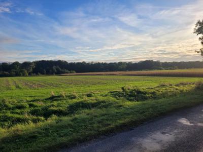 Działka budowlana, ul. Fabryczna