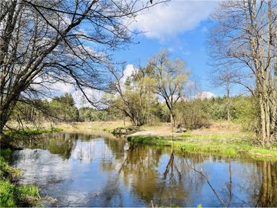 Działka Sprzedaż Władysławów, Polska