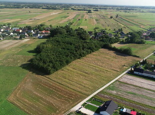 Działka pod dom 8ar - Strożyska gm. Nowy Korczyn