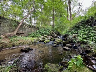 Piękna działka w Stawnie, 2,92 ha