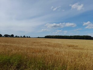 Sprzedam działkę inwestycyjną w miejscowości Wojska