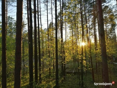 Domek Poziomka nad jezioremSasek Wielki nocleg mazury pokój