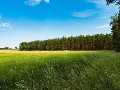 Działka budowlana