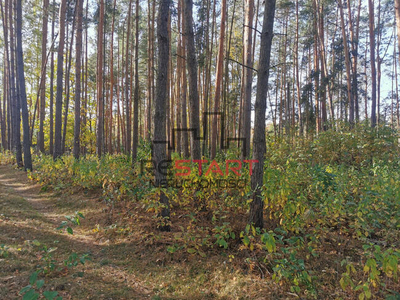 Działka siedliskowa Piotrkowice gm. Żabia Wola,