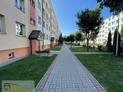 Mieszkanie na sprzedaż, 37 m², Działdowo, ul. Norwida
