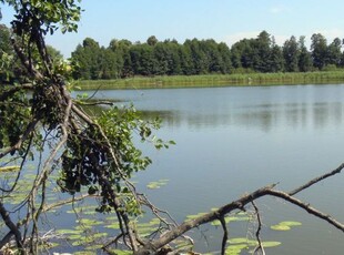 85 zł m2 działka nad jeziorem Chojnice, województwo pomorskie