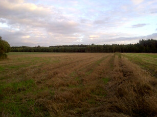 Działka rolno-budowlana Zbiersk