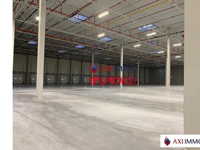 Magazyn do wynajęcia 6 000,00 m², oferta nr 7147