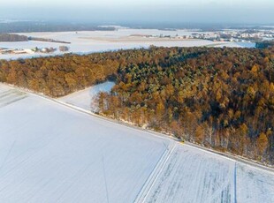 Działka leśna Łagiewniki Wielkie gm. Pawonków,