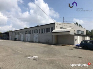 Lokal Radzionków 240m2