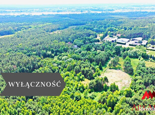 Oferta sprzedaży gruntu Łęg-Witoszyn 3856m2