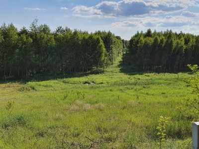 Atrakcyjna działka w Kopaninie