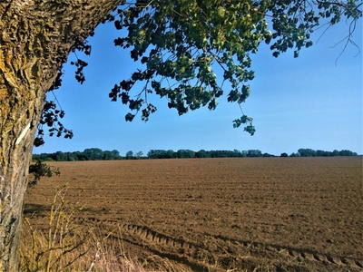 Działka 8000 m2 Kamień Pomorski - Połchowo