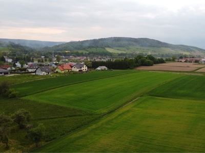 Działka budowlana 2000m ( 0,2 ha ) w Ścinawce Średniej