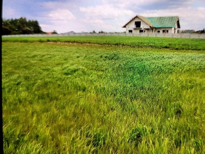 Działka budowlana Chełmce gm Srawczyn