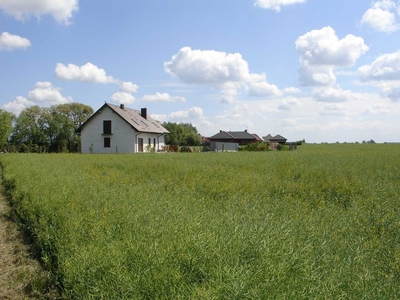 Działka budowlana Góra (okolice Promna, Pobiedziska)