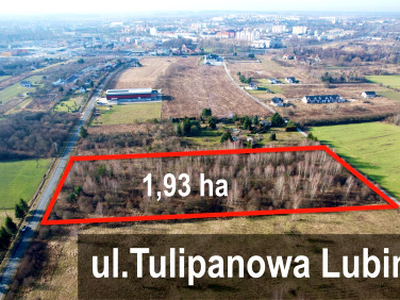 Działka budowlana Lubin