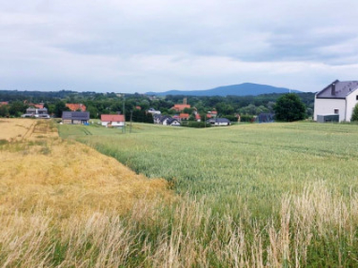 Działka budowlana Wierzbna