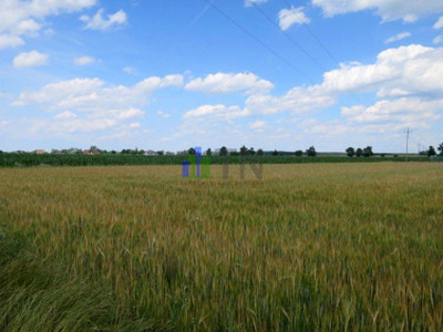 Działka budowlana Wilczyce