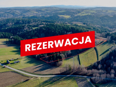 Działka leśna Rzepiennik Strzyżewski