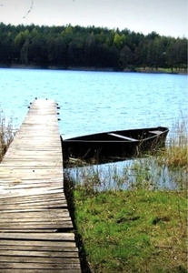 Działka - Mazury, Brajniki, gm. Jedwabno ( Warchały, Narty)