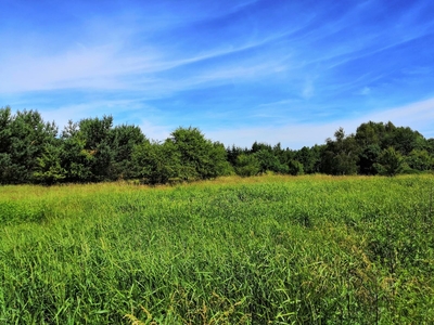 Działka nad jeziorem Szeląg Wielki